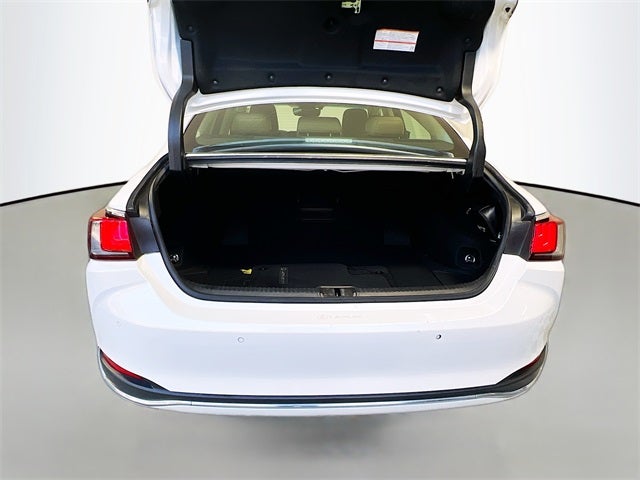 2021 Lexus Es 300h Luxury