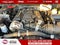 2027 Jeep Wrangler Moab 392