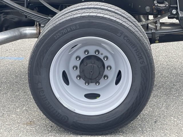 2025 Ford Super Duty F-450 DRW Diesel XL