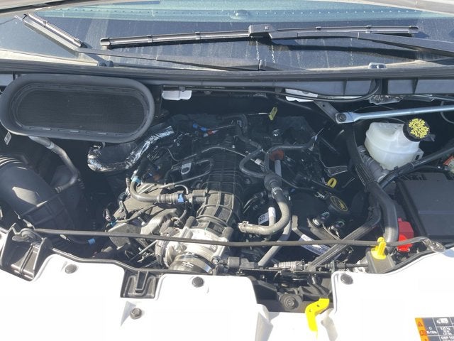 2026 Ford Transit Cargo Van T-250 148" Hi Rf 9150 GVWR RWD