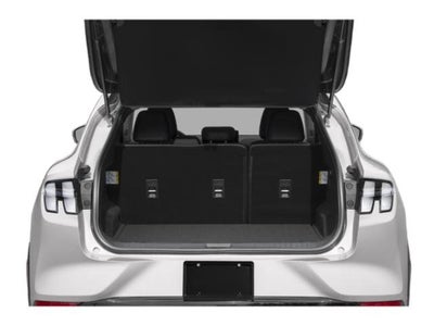 2021 Ford Mustang Mach-e Select