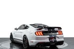 2022 Ford Mustang Shelby GT500