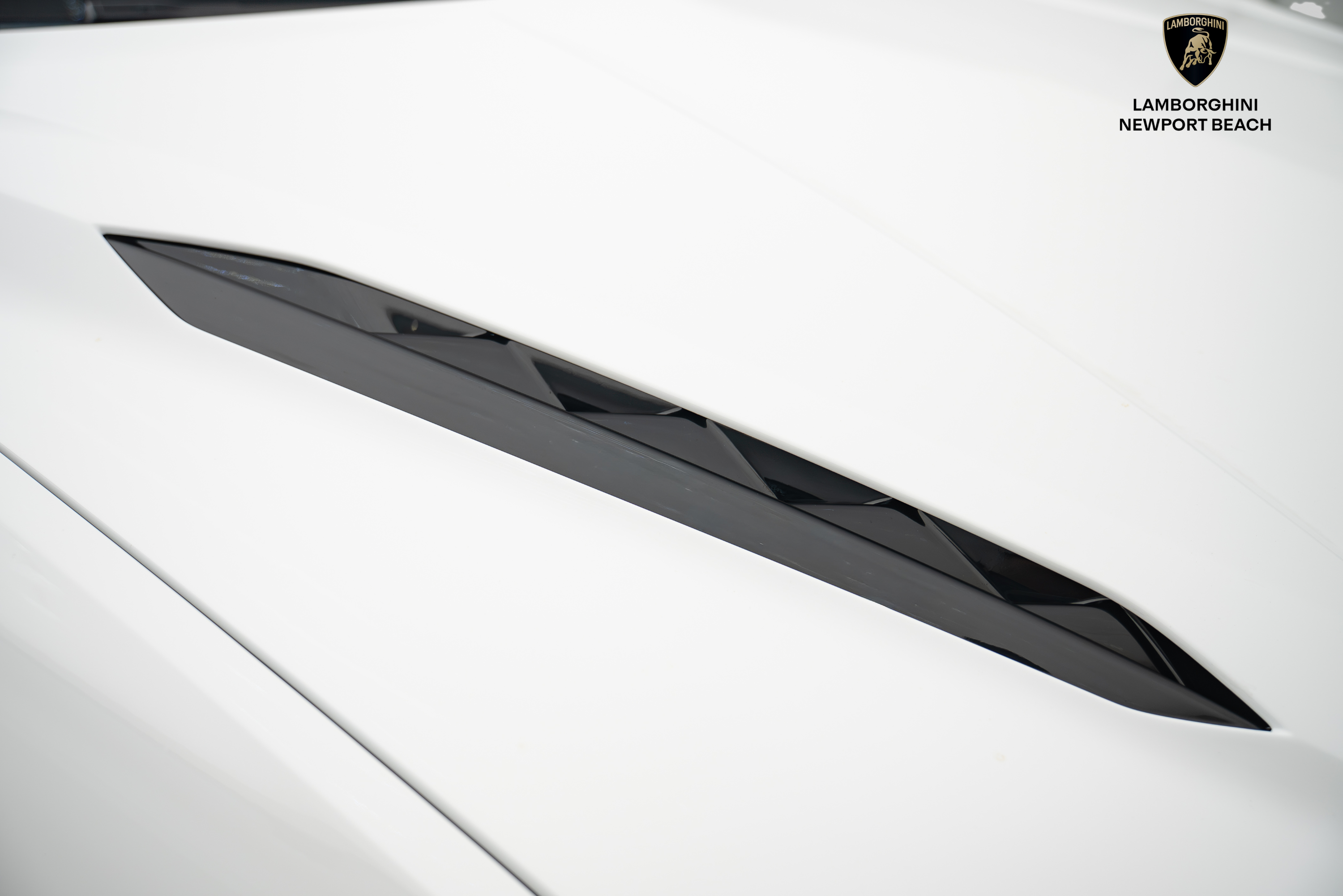 2024 Lamborghini Urus S